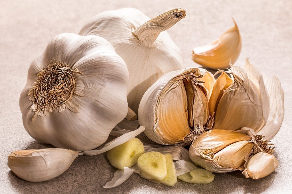 Coryza de la Poule, Traitement Naturel 