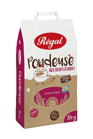 Nourriture poules - Alimentation poule - Graines pour poules